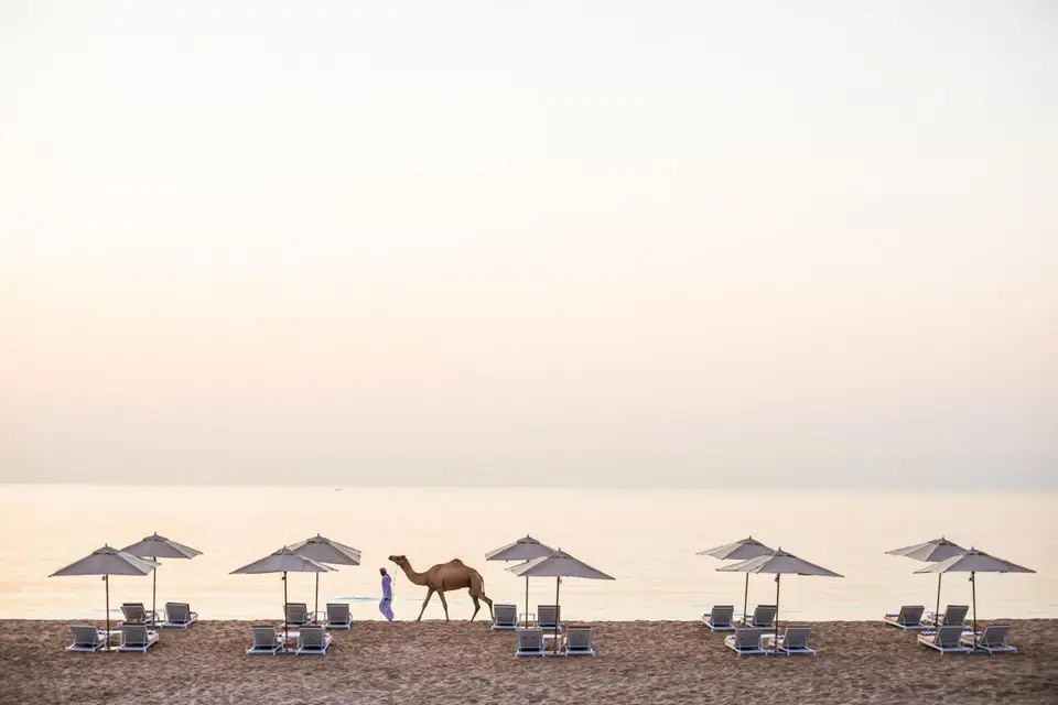 INTERCONTINENTAL FUJAIRAH RESORT — фото 6, Coral Travel