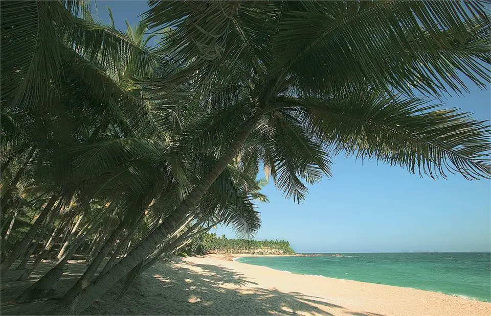 AMANWELLA — фото 2, Coral Travel