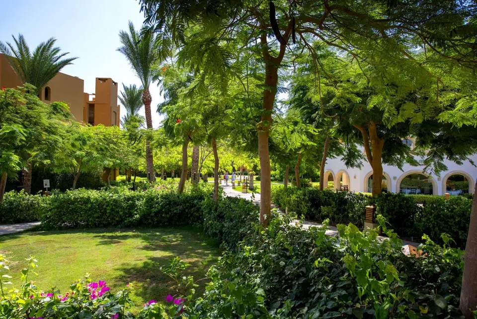 STELLA MAKADI BEACH RESORT & SPA — фото 6, Coral Travel
