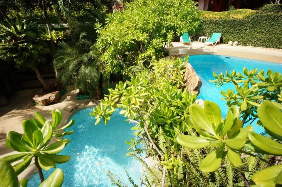 KATA GARDEN RESORT — фото 2, Coral Travel
