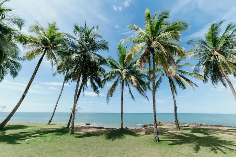 KHAOLAK LAGUNA RESORT — фото 6, Coral Travel