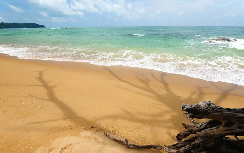THE SANDS KHAO LAK BY KATATHANI — фото 10, Coral Travel