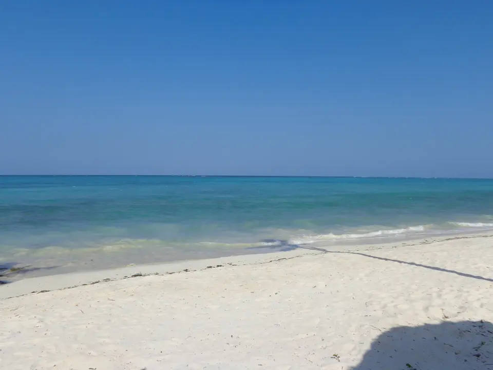 REEF & BEACH RESORT — фото 5, Coral Travel