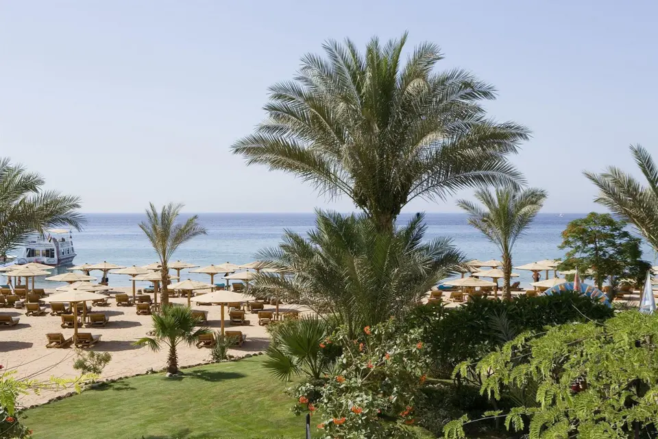 NOVOTEL SHARM EL SHEIKH (EX. NOVOTEL BEACH) — фото 8, Coral Travel