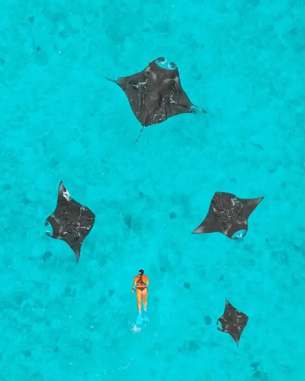 NH COLLECTION REETHI MALDIVES (EX. REETHI BEACH RESORT) — фото 4, Coral Travel