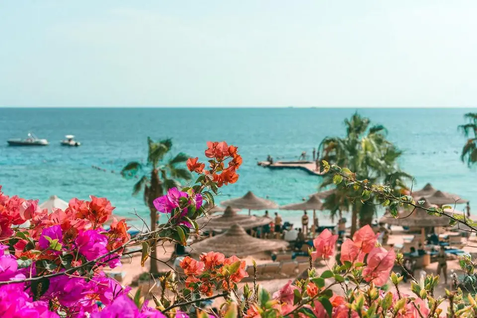 ROYAL SAVOY ADULTS ONLY — фото 10, Coral Travel