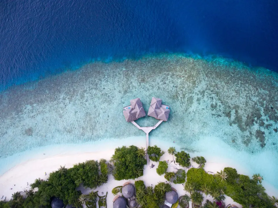 BANDOS MALDIVES (EX. BANDOS ISLAND RESORT) — фото 5, Coral Travel