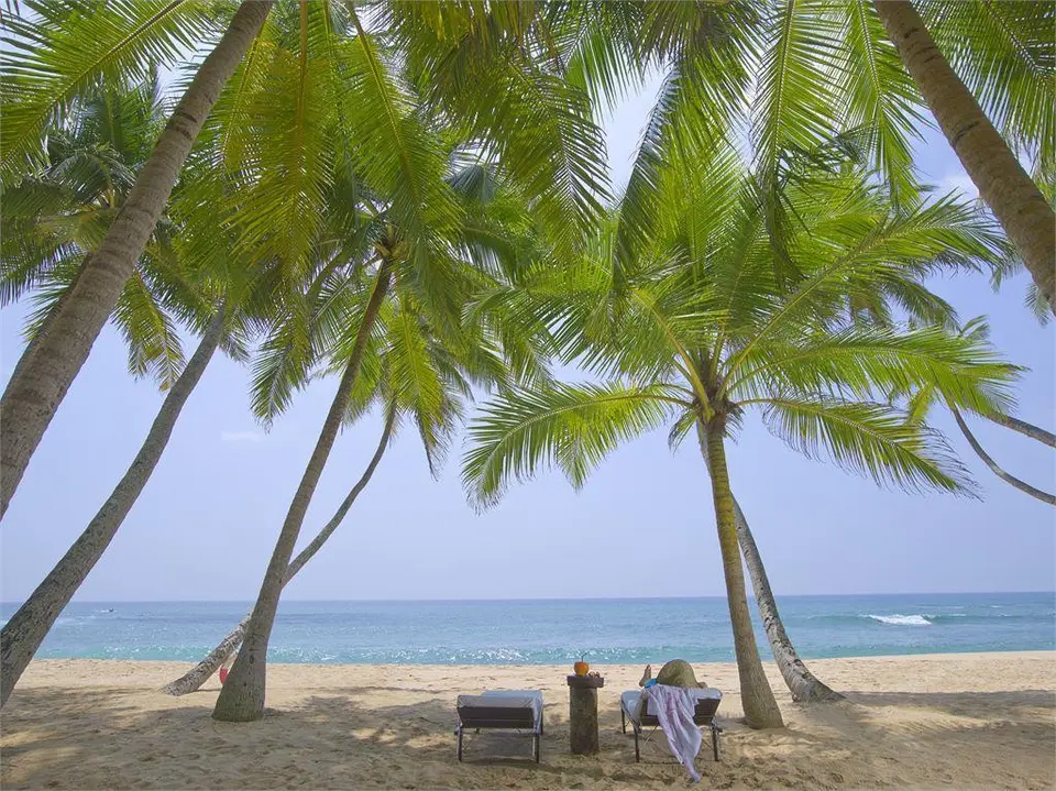 AMANWELLA — фото 4, Coral Travel