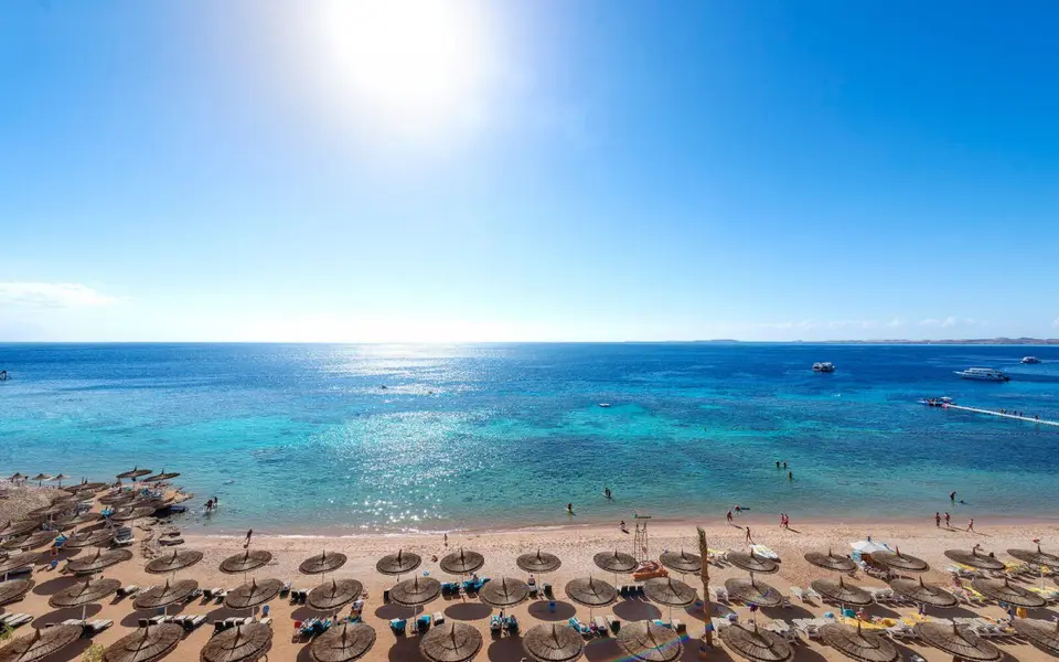 REEF OASIS BEACH RESORT — фото 4, Coral Travel