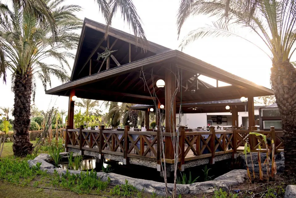 ROYAL WINGS HOTEL — фото 10, Coral Travel