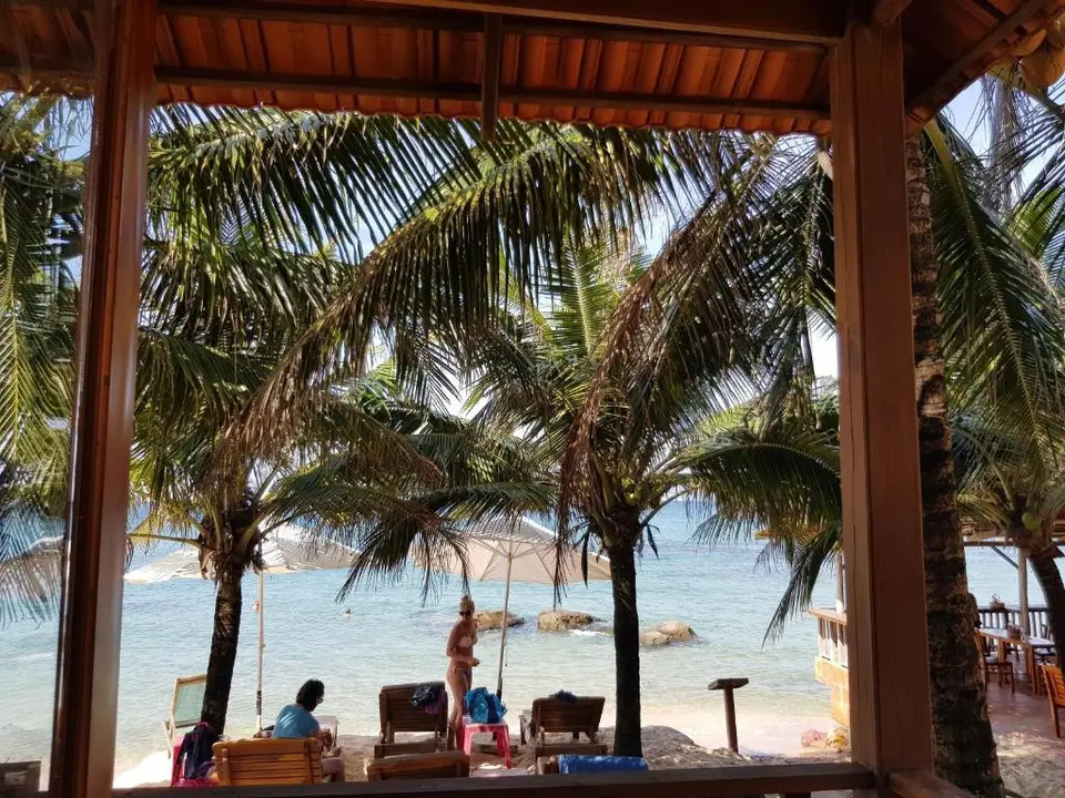 FREE BEACH RESORT — фото 6, Coral Travel
