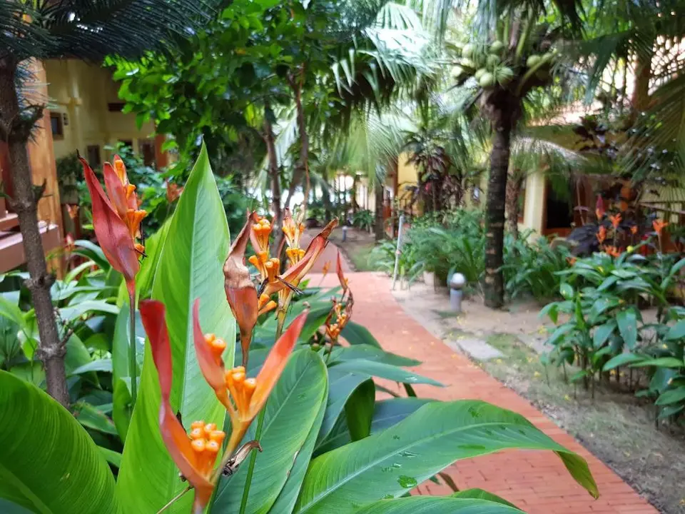 FREE BEACH RESORT — фото 10, Coral Travel