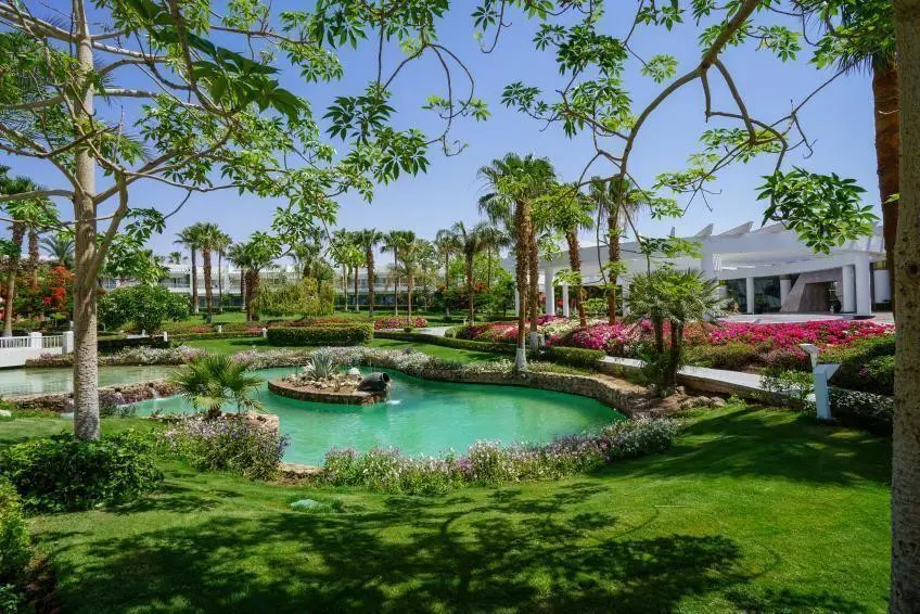 MONTE CARLO SHARM RESORT SPA & AQUA PARK — фото 9, Coral Travel