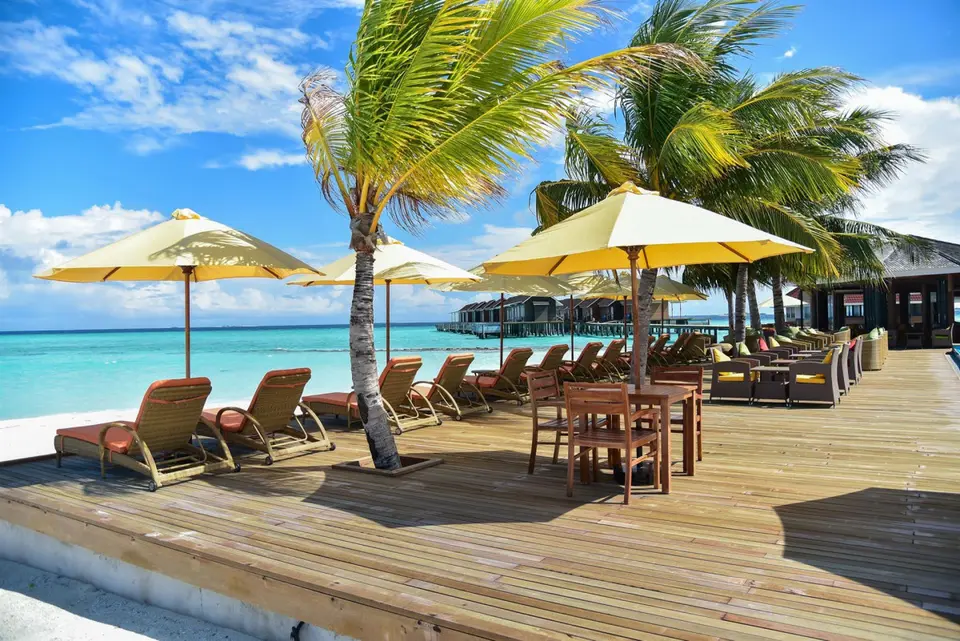 DHIGUFARU ISLAND RESORT — фото 12, Coral Travel