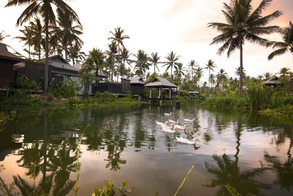ANANTARA MAI KHAO PHUKET VILLAS — фото 11, Coral Travel