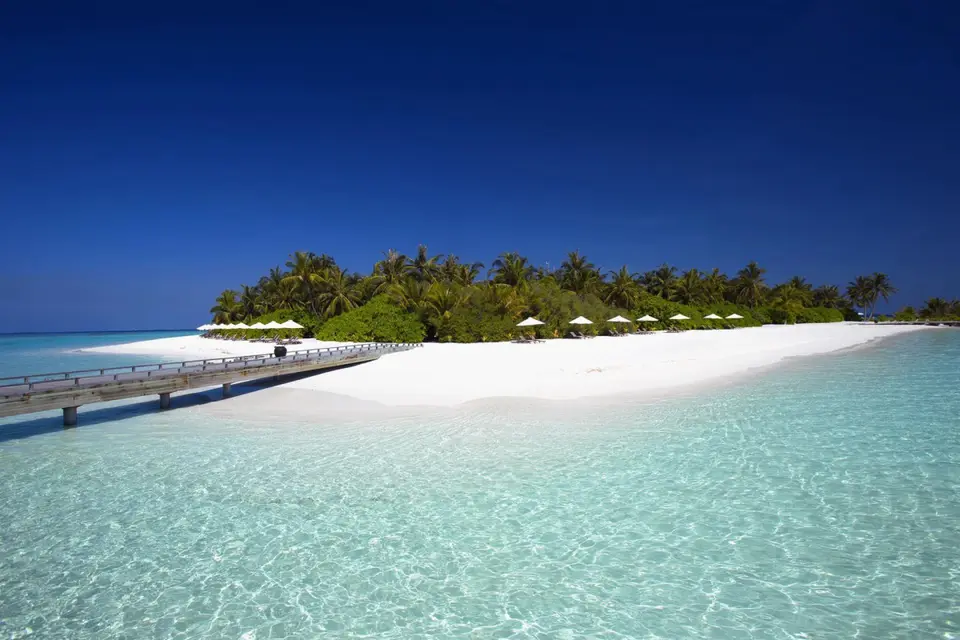 VELASSARU MALDIVES — фото 5, Coral Travel