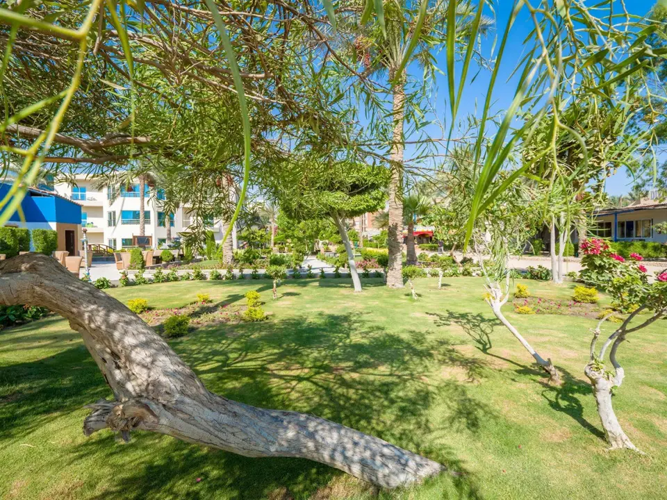 SEAGULL BEACH RESORT & CLUB — фото 7, Coral Travel