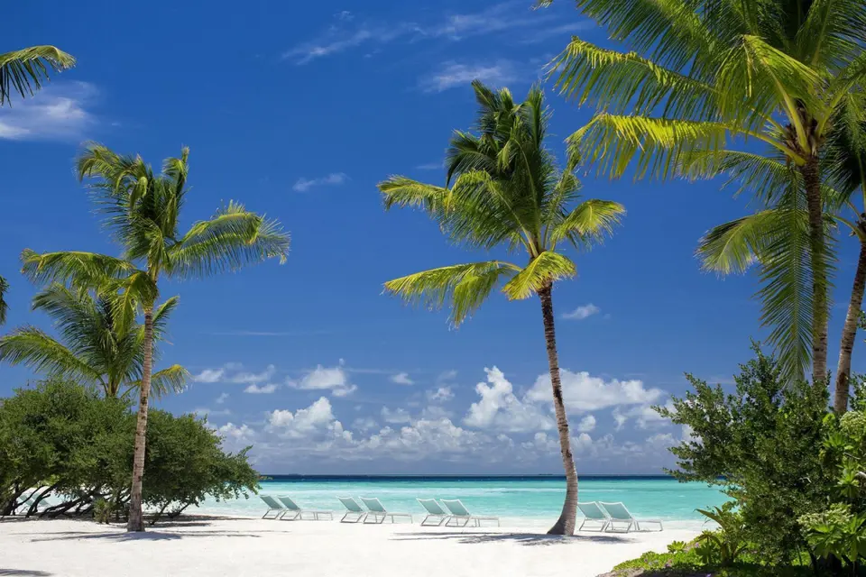 KANDIMA MALDIVES — фото 4, Coral Travel