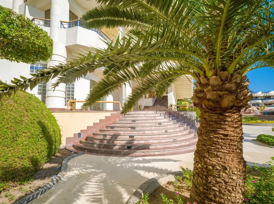 SEAGULL BEACH RESORT & CLUB — фото 6, Coral Travel