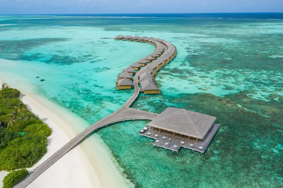 COCOON MALDIVES — фото 2, Coral Travel