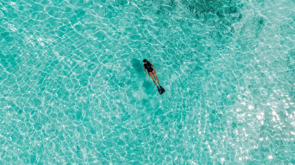NOVA MALDIVES — фото 10, Coral Travel