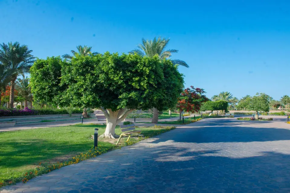 PHARAOH AZUR RESORT (EX. SONESTA PHARAOH) — фото 5, Coral Travel