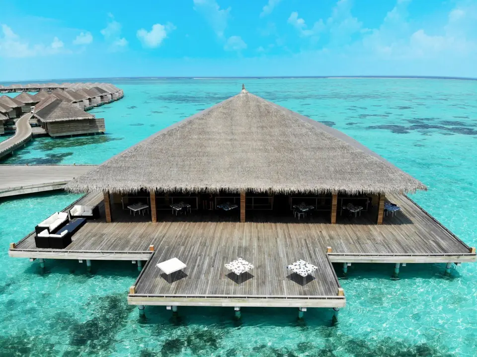 COCOON MALDIVES — фото 6, Coral Travel