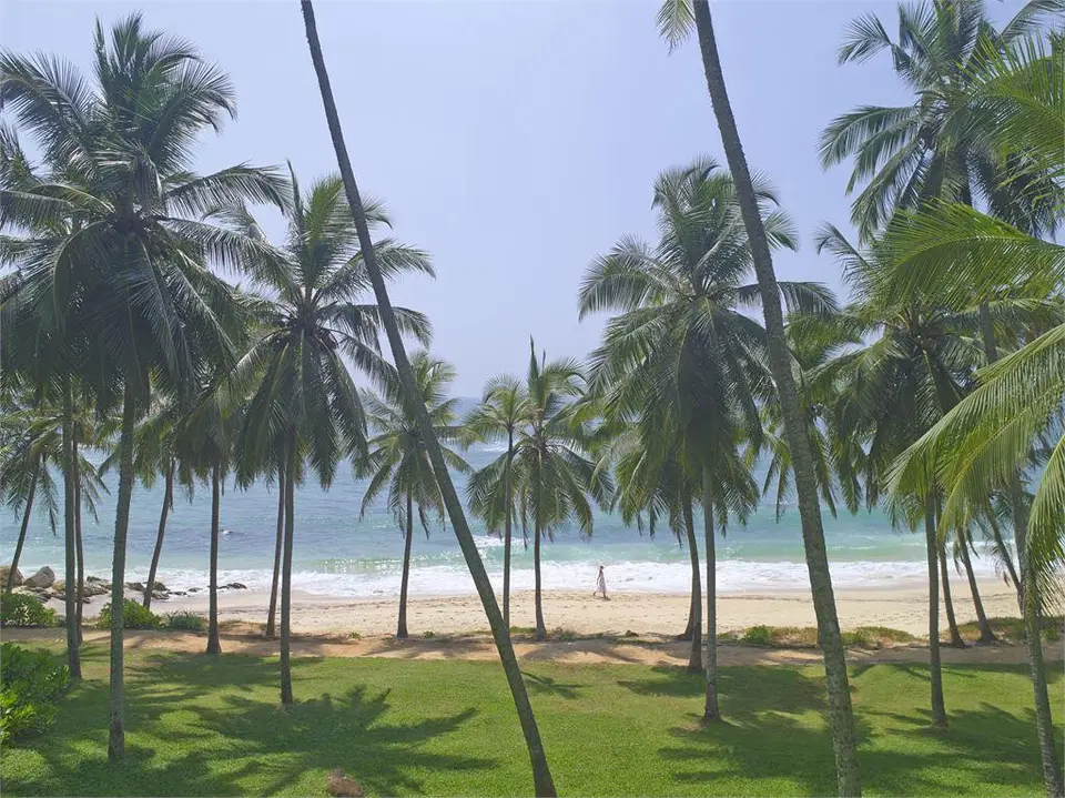 AMANWELLA — фото 5, Coral Travel