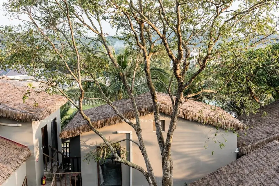 M VILLAGE PHU QUOC — фото 10, Coral Travel