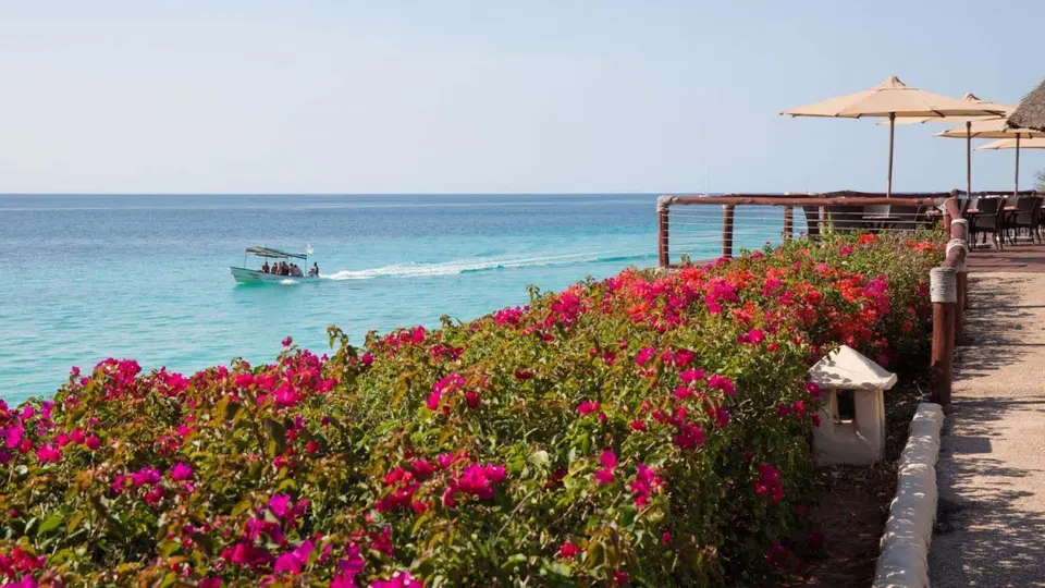 ROYAL ZANZIBAR BEACH RESORT — фото 8, Coral Travel
