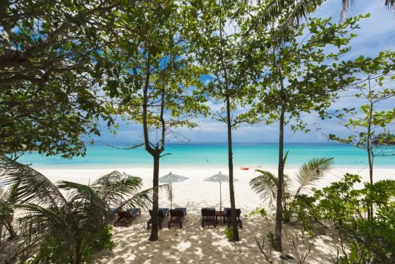 THE SURIN PHUKET — фото 8, Coral Travel