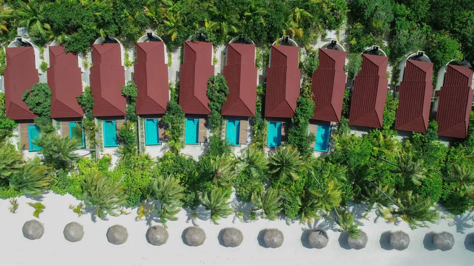 DHIGUFARU ISLAND RESORT — фото 2, Coral Travel
