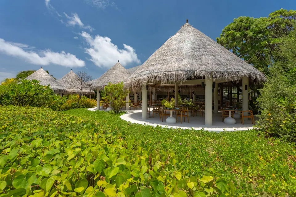 COCOON MALDIVES — фото 9, Coral Travel