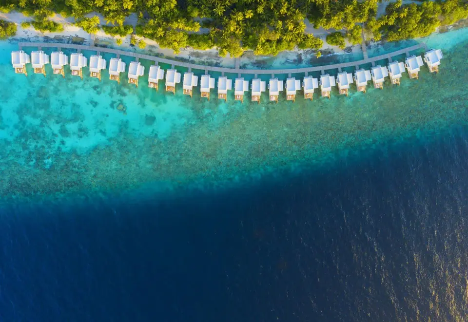 DHIGALI MALDIVES — фото 2, Coral Travel
