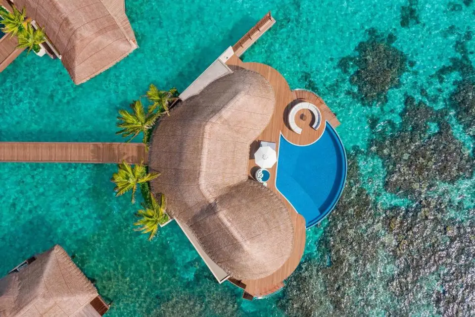 W MALDIVES — фото 4, Coral Travel