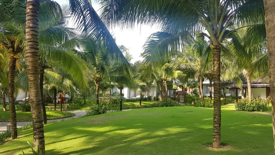SONATA RESORT AND SPA — фото 2, Coral Travel