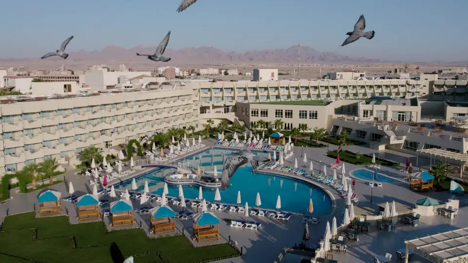 SEVEN SEAS JOLIE BAY (EX. AQUA MONDO ABU SOMA RESORT) — фото 3, Coral Travel