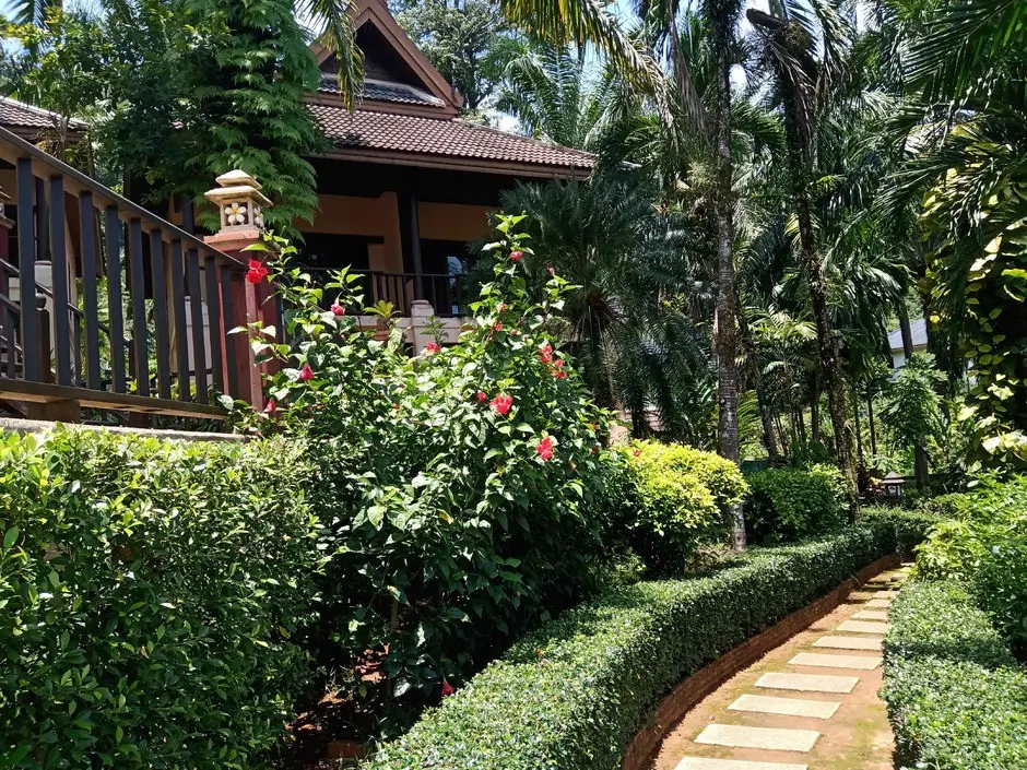 KHAO LAK PALM BEACH RESORT — фото 10, Coral Travel