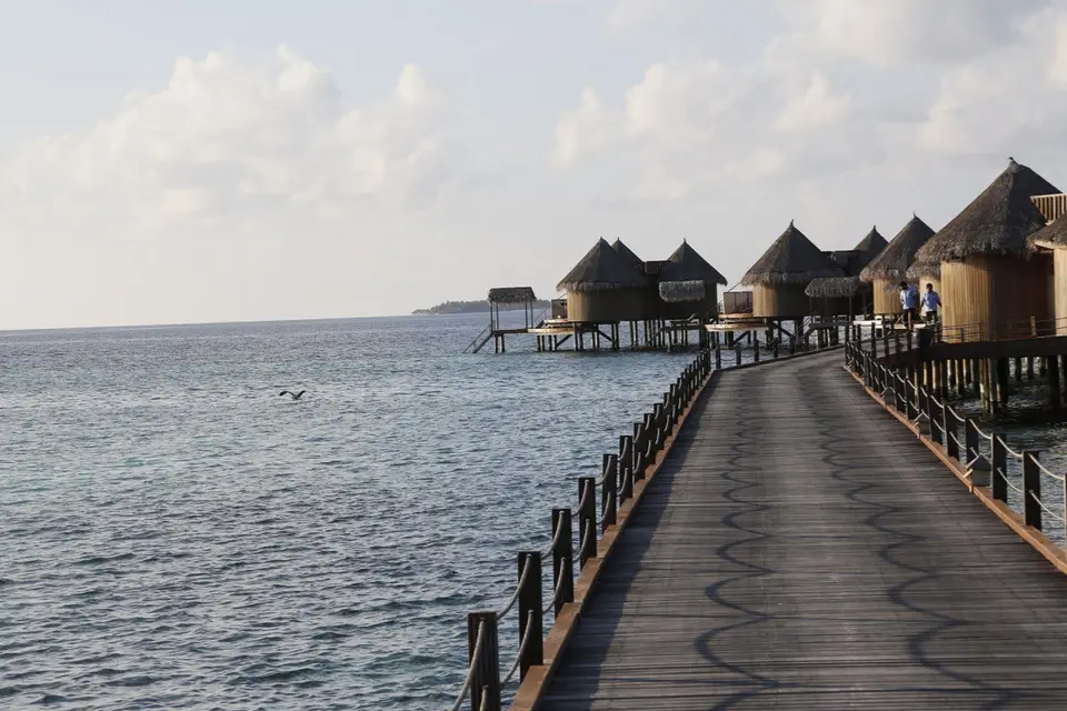 NIKA ISLAND RESORT — фото 5, Coral Travel