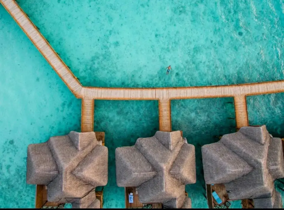 FIHALHOHI MALDIVES (EX. FIHALHOHI ISLAND RESORT) — фото 5, Coral Travel