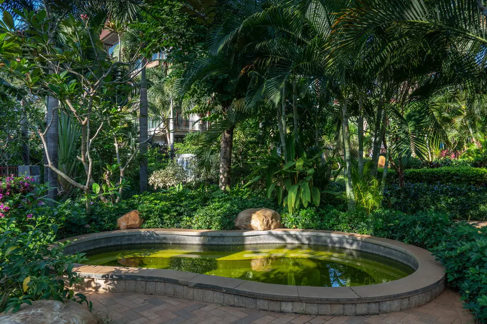 ARGYLE YALONG BAY RESORT — фото 10, Coral Travel