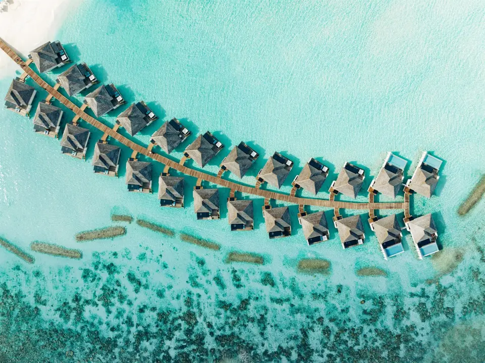 NOVA MALDIVES — фото 4, Coral Travel