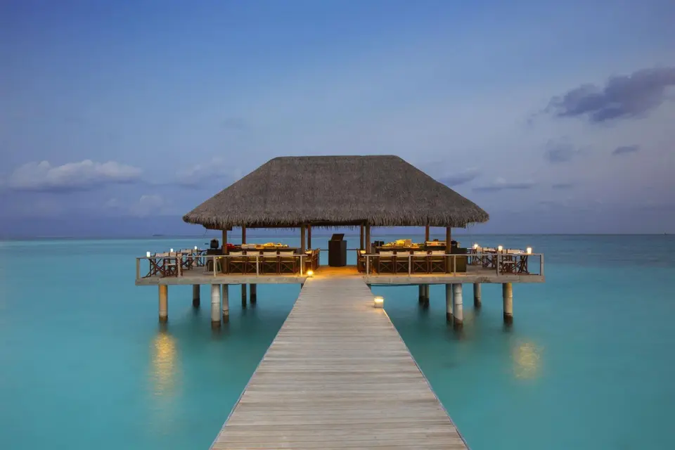 VELASSARU MALDIVES — фото 8, Coral Travel
