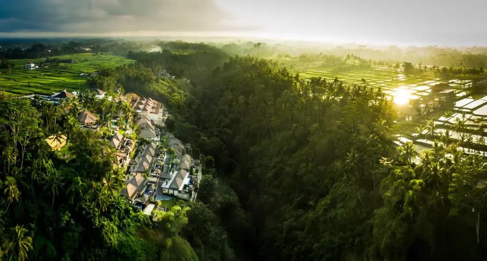 THE VICEROY BALI — фото 9, Coral Travel