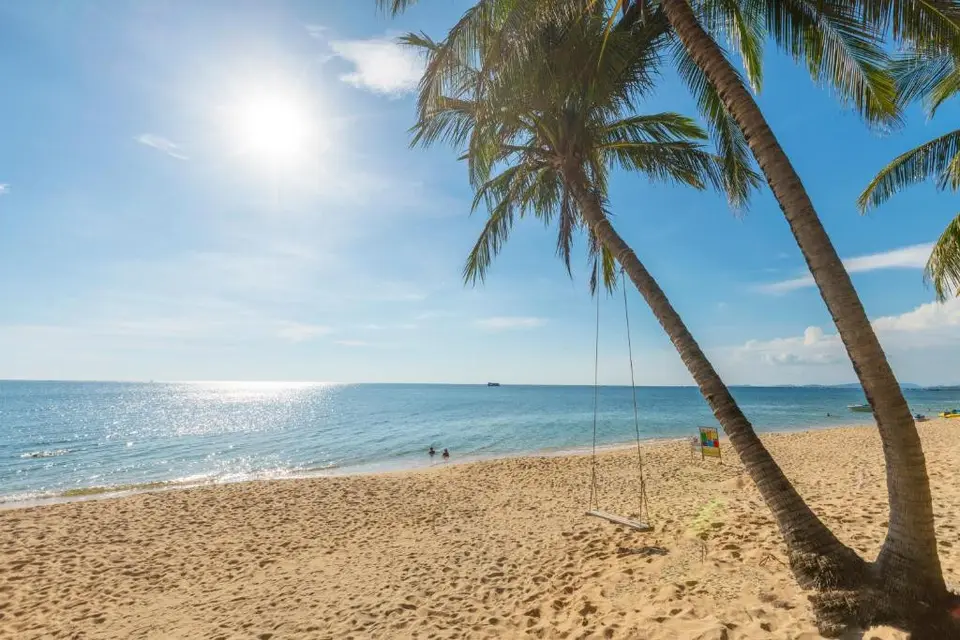 THIEN THANH RESORT — фото 6, Coral Travel