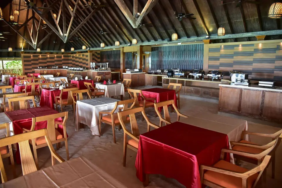 DHIGUFARU ISLAND RESORT — фото 8, Coral Travel