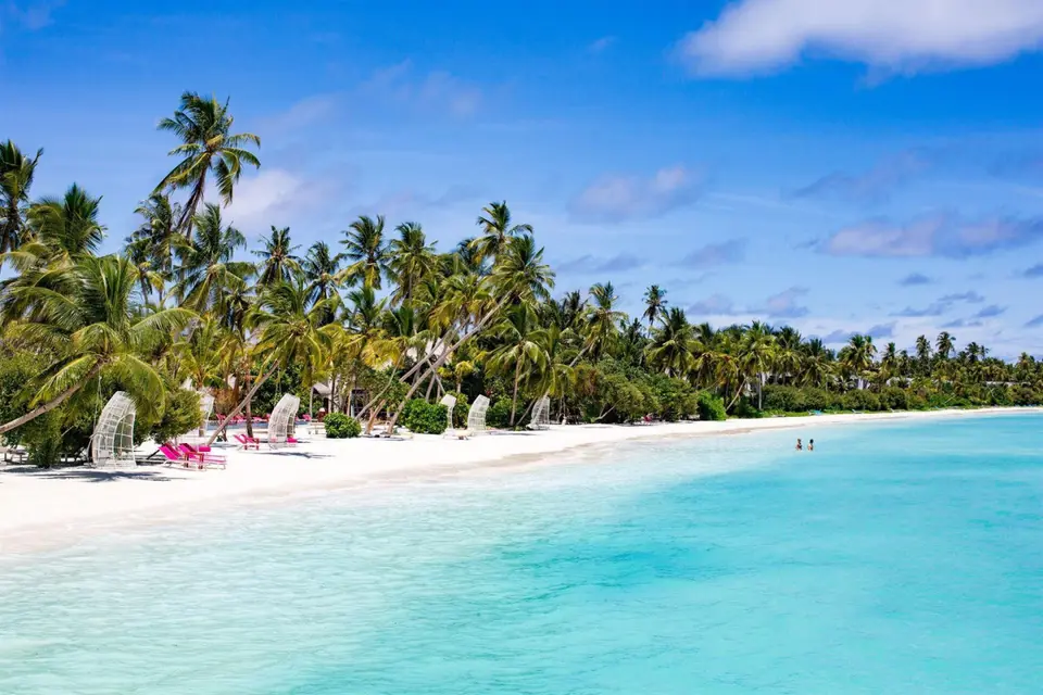 KANDIMA MALDIVES — фото 3, Coral Travel