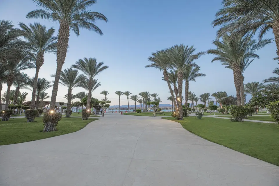 PYRAMISA BEACH RESORT SAHL HASHEESH — фото 7, Coral Travel