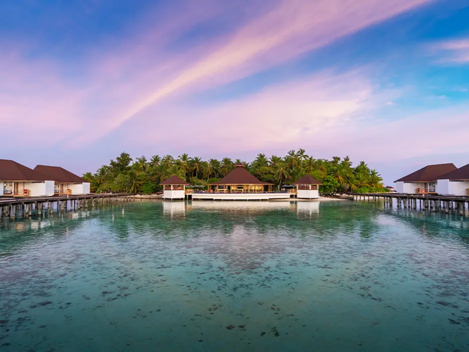 ELLAIDHOO MALDIVES BY CINNAMON (EX. CHAAYA REEF ELLAIDHOO) — фото 12, Coral Travel