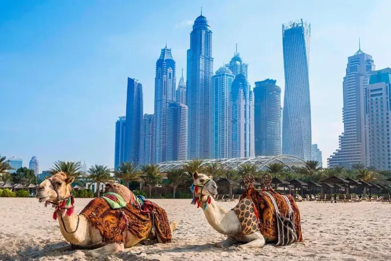 AL HABTOOR GRAND RESORT AUTOGRAPH COLLECTION — фото 6, Coral Travel